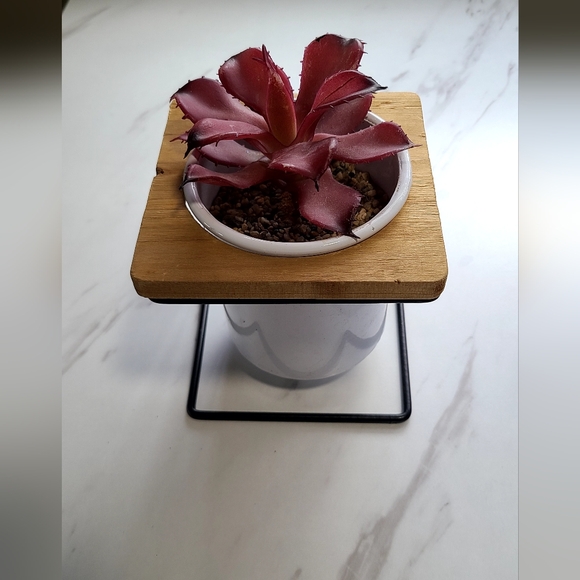 Plant decor bundle! - Picture 2 of 3